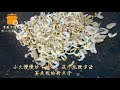 fish dumplings recipes 可以開店的鮁魚餃子食譜大公開！【點心篇】 薔薇君的廚房mike rosa_kun`s kitchen