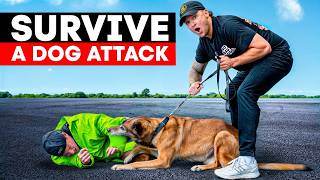 Do This to STOP a DOG ATTACK in Seconds