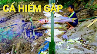 #17 BỮA TRƯA DƯỚI MƯA - NGƯỜI VÙNG CAO BẮT CÁ SÔNG - NƯỚNG CÁ BỜ SÔNG | catch river fish | survival