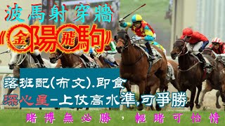 金陽飛駒｜落班換布文｜爭勝最佳時機｜深心星｜質新當起｜可開齋｜每場1膽拖2腳｜絶無4格或5格貼士｜祝大家好運｜月月有盈會｜歡迎大家加入