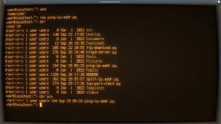 Python ASMR - Ping IP Address - No Talking
