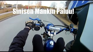 Sinisen Mankin Paluu!