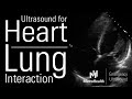 Heart Interaction Lung