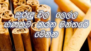 කුරුඳු නුහුරු පැස්සම ලේල ඝනකම කරගෙන👉 ආදායම වැඩිකර ගන්න පුලුවන්. (Episode 06)