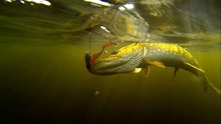 GoPro: Early Spring Pike on JerkBaits  (Mason Nist)