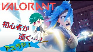 【参加OK】【VALORANT】日帰り合宿ヴァロラント　【蒔葛彩柚】