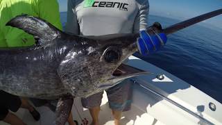 Swordfish Fishing - Islamorada - Floyds Wall