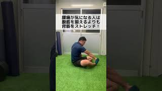 【腰痛改善】腹筋したら腰が痛くなる人はどうすればいい？ #トレーニング #体幹トレーニング #腰痛