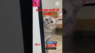 बिल्ली को डराने का तरीका।how cat scared