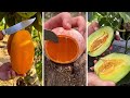 Farm Fresh Ninja Fruit Cutting | Oddly Satisfying Fruit Ninja #02