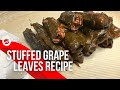 Vegan Stuffed Grape Leaves Recipe (Turkish Dolma Recipe) by Diets Meal Plan