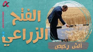 ألش رخيص | الفتح الزراعي