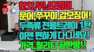 [마탄자TV] 한치, 무늬오징어, 문어, 쭈꾸미, 갑오징어 두족류 전용 트레이 1탄! 이젠 편하게 다니세요. 가격, 퀄리티 끝판왕!!!