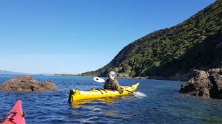 Kapiti Island Sea Kayaks