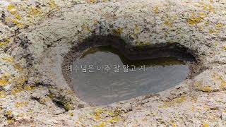 편지 - 사랑한다면  예수님처럼