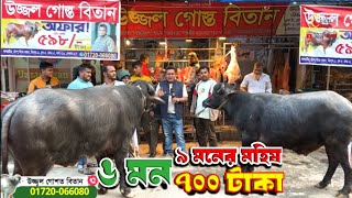 জোড়া ষাঁড় মহিষ ৭০০ টাকা কেজি পাওয়া যাবে উজ্জ্বল ভাইয়ের দোকানে! buffalo price in Bangladesh