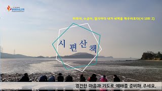 2022.04.10[광명창성교회]새벽기도. 제목: 시편 30편 산책. 본문: 시편 30편 1-12절.