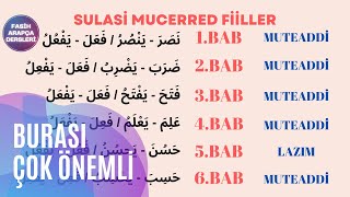 SULASİ MUCERRED FİİLLER ( 6 BAB )