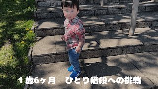 【1歳6ヶ月】成長の階段　一人階段登り/ Growth stairs. Climb the stairs alone.(1year and 6months)