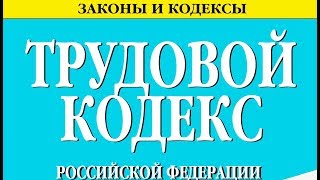 Статья 330 ТК РФ. Дисциплина работников, труд которых непосредственно связан с движением