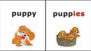How to form the plural in English