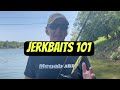 How To Fish A Jerkbait…For Beginners..(On The Water Demo)