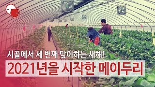 메이두리 브이로그 - 2021.01.02.Sat.~01.06.Wed. - 2021년을 시작한 메이두리