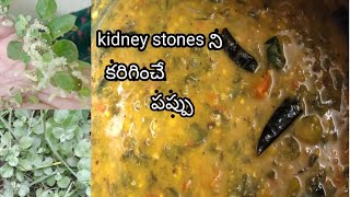 కొండపిండాకు తొ కమ్మని పప్పు// healthy//kidney లొ stones కి తిరుగులేని ఔషదం  ా@ తప్పకుండ తినాలి