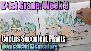 Kindergarten and 1st Grade Week 9: Cactus Succulent Plants