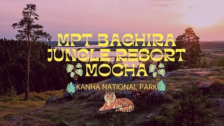 MPT BAGHIRA JUNGLE RERSORT MOCHA (KANHA NATIONAL PARK)