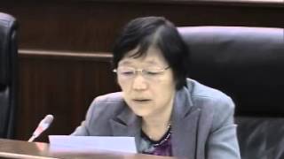 關翠杏2013保安範疇施政辯論發言