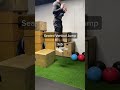 Soccer player ⚽️ plyometrics workout to increase performance