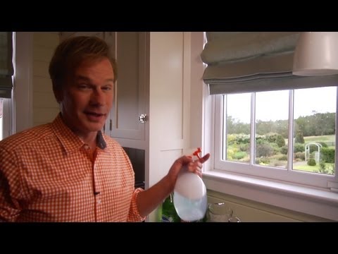 Homemade Window Cleaner | At Home With P. Allen Smith Homemade Window Cleaner | At Home With P. Allen Smith