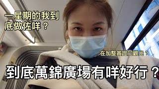 [ Vlog ]加拿大多倫多有咩玩？行萬錦廣場？