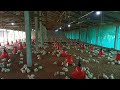 High cost poultry farm // 4000 chicks 🐤🐥 // keshab poultry farm