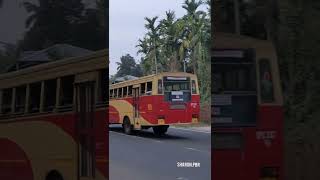 പെരുമ്പാവൂർ രാജാവിൻ്റെ എൻട്രി| KSRTC PERUMBAVOOR| AANAVANDI| #kerala #ksrtc SRTC