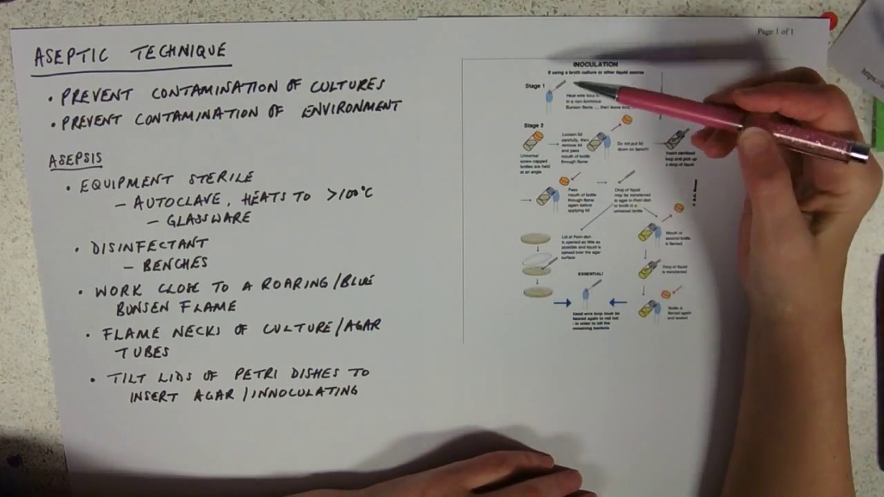 Aseptic Technique Youtube