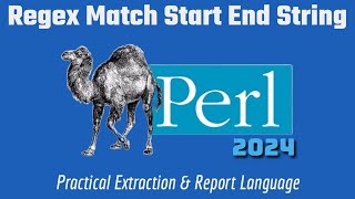 Learn Perl 2024: Regex Match Start & End Of String Code Example