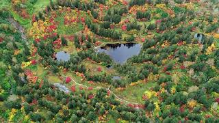 北海道上川郡上川町層雲峡高原沼の紅葉