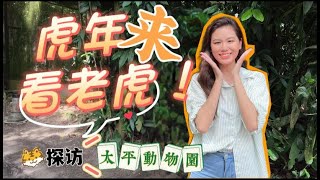 【PGMN虎年特备】虎年来看马来亚虎！探访马来西亚历史最悠久动物园