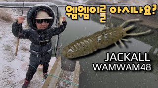 겨울배스낚시 눈이 와도 느나느나 스쿨링배스 BassFishing EP109