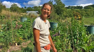 Cécile Le Fol : maraîchage biologique sur sol vivant