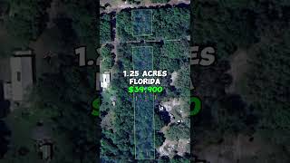 1.25 acres for sale in Florida for $39,900. #fyp #realestate #property #forsale #land