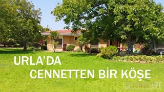 İZMİR | URLA'da CENNETTEN BİR KÖŞE