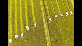 各国粮食产量排名，你知道中国一年生产多少粮食吗？