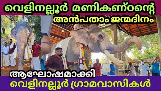 ഗജവീരൻ്റെ 50-ാം ജന്മദിനത്തിൻ്റെ നിറവിൽനാട് | Veliralloor Manikandan | Sreerama Temple| Oyoor |