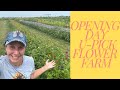 Opening Our U Pick Flower Farm, Episode 1, How much did we make?