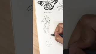 Drawing seahorse #drawing #shorts