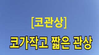 [코관상] 코가 작고 짧은 관상