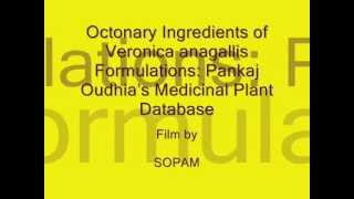 Octonary Ingredients of Veronica anagallis Formulations: Pankaj Oudhia's Medicinal Plant Database